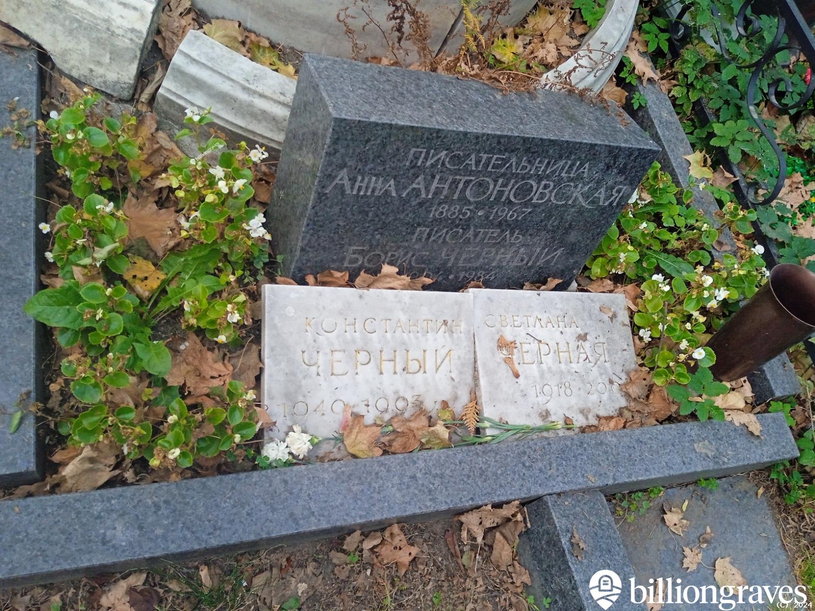 Антоновская Анна Арнольдовна