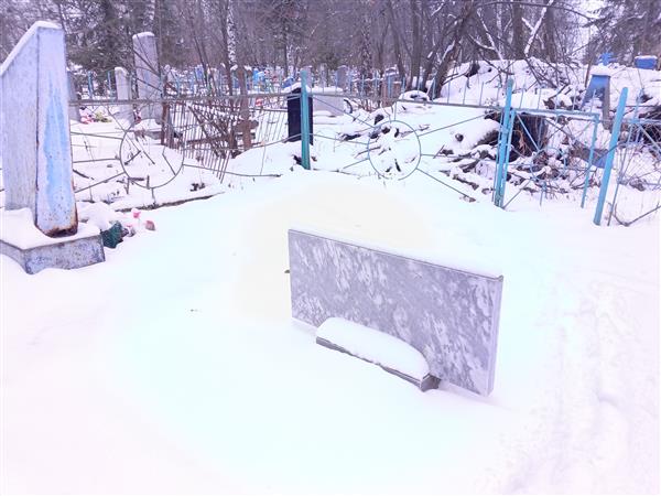 Бартова (Горбушина) Надежда