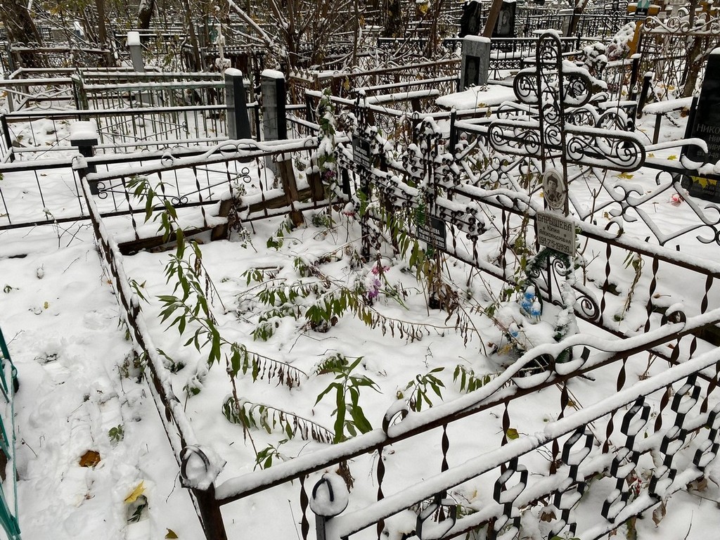 Барышева Юлия Александровна