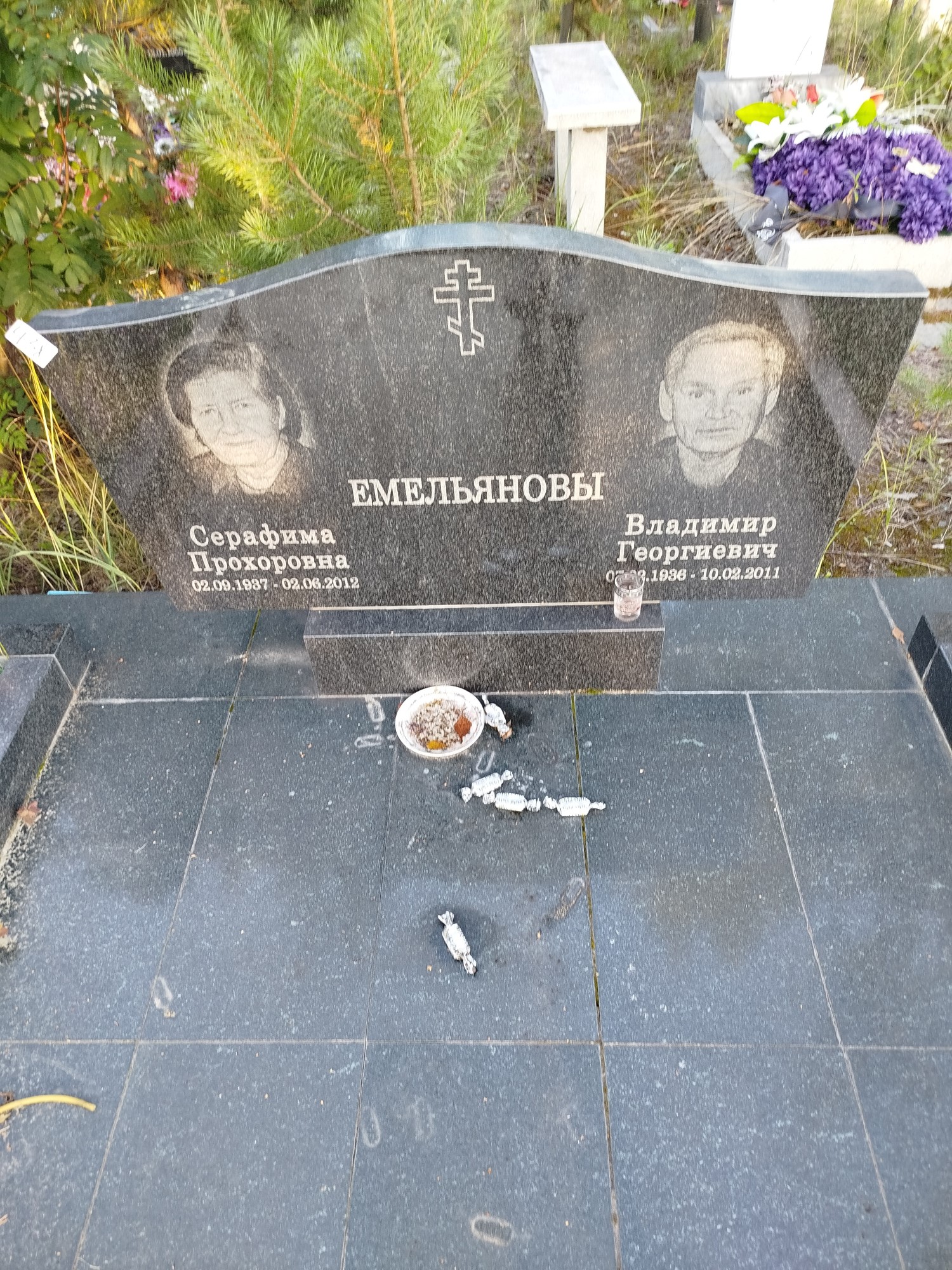 Емельянов Владимир Георгиевич