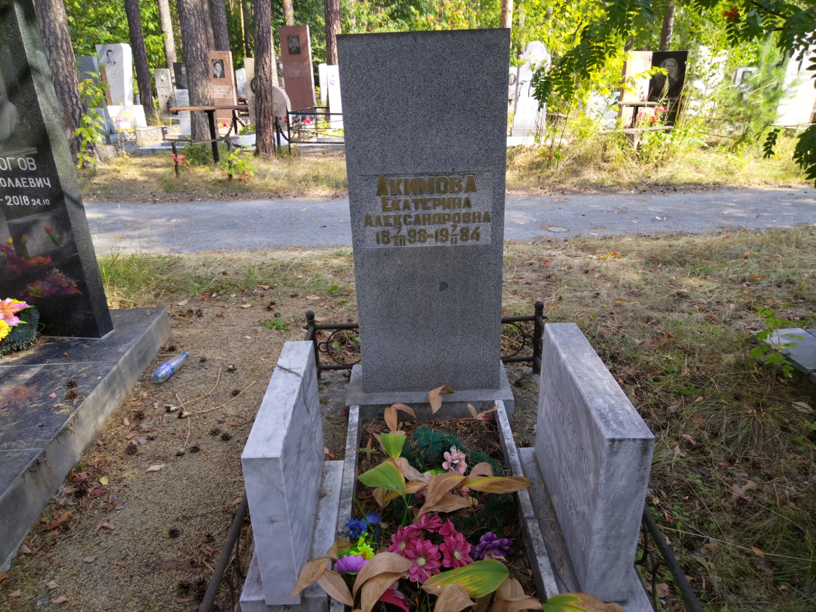 Маневич Владимир Анатольевич