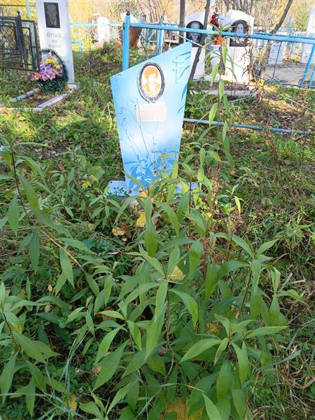Юдечева Галина Александровна