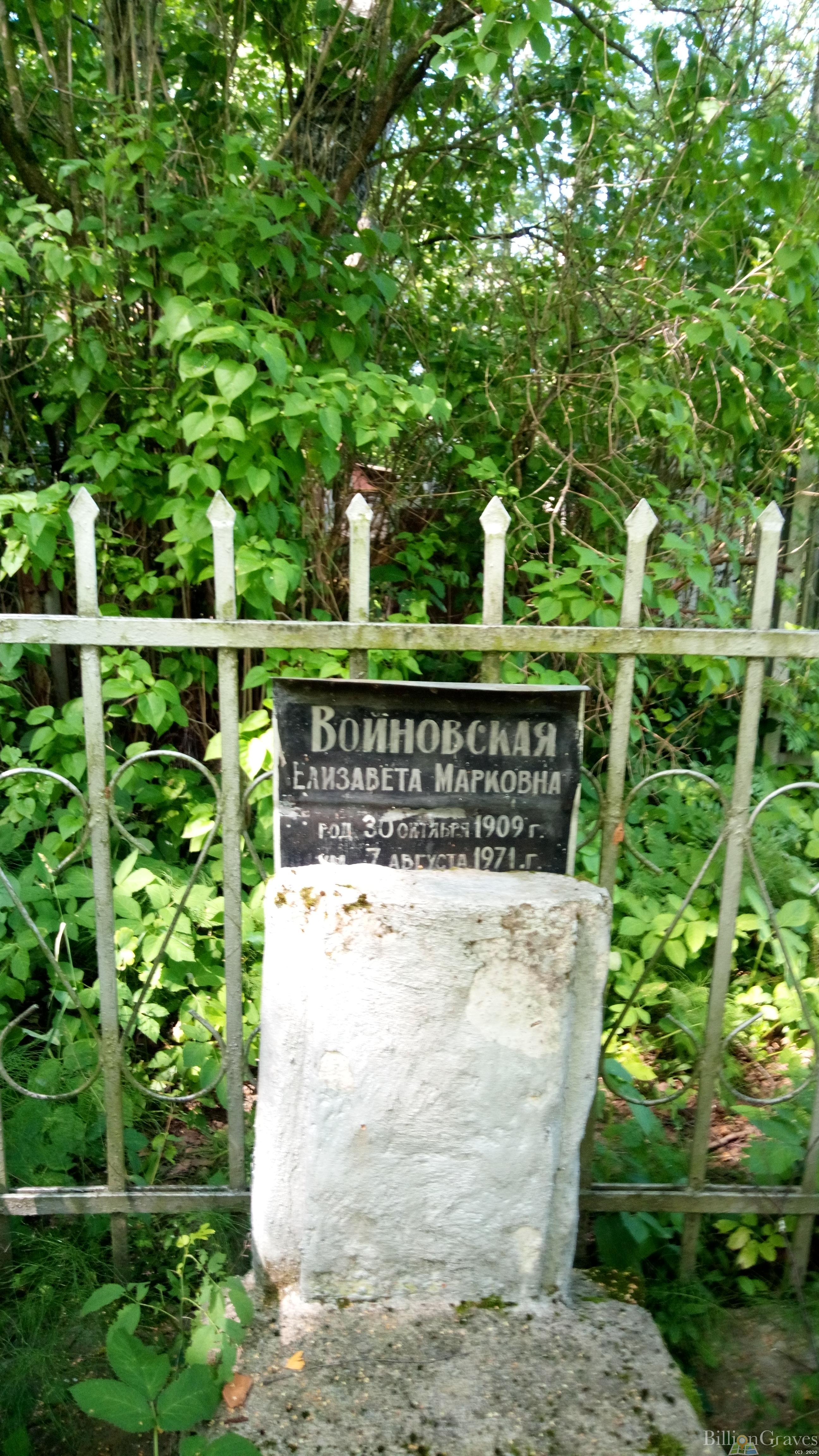 Войновская Елизавета Марковна