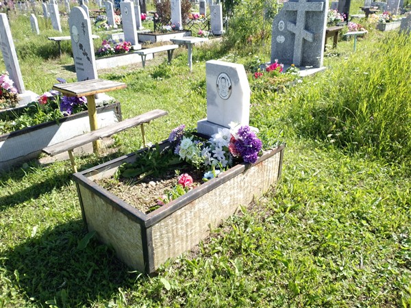 Паньшин Денис Александрович