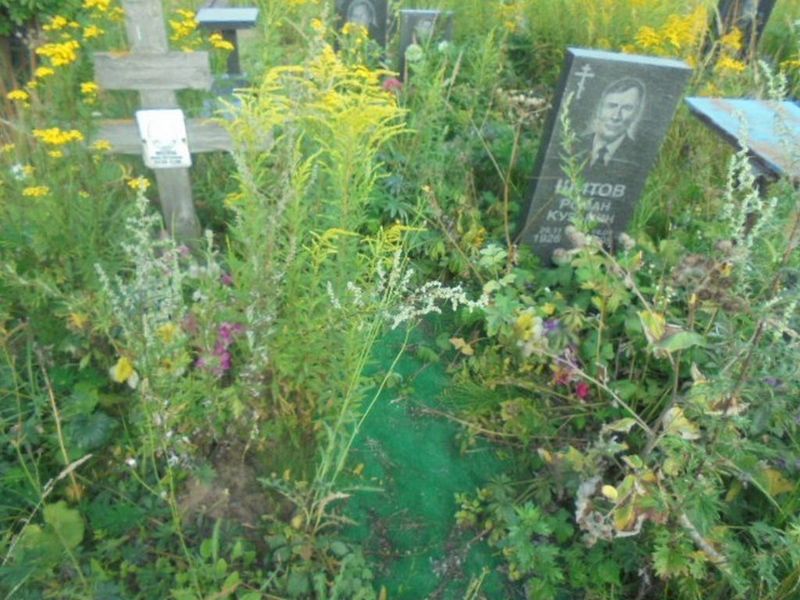 Киселева Анна Петровна