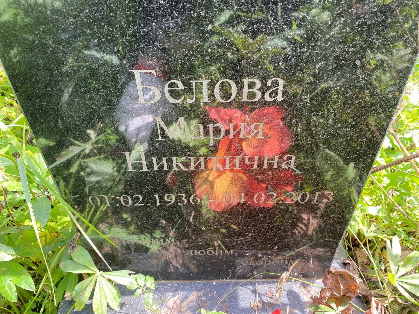 Белова