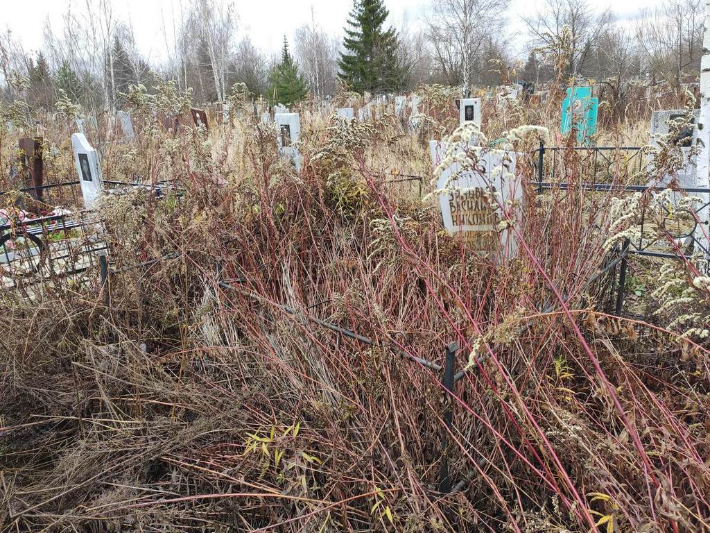 Зиновьев Василий Никонович