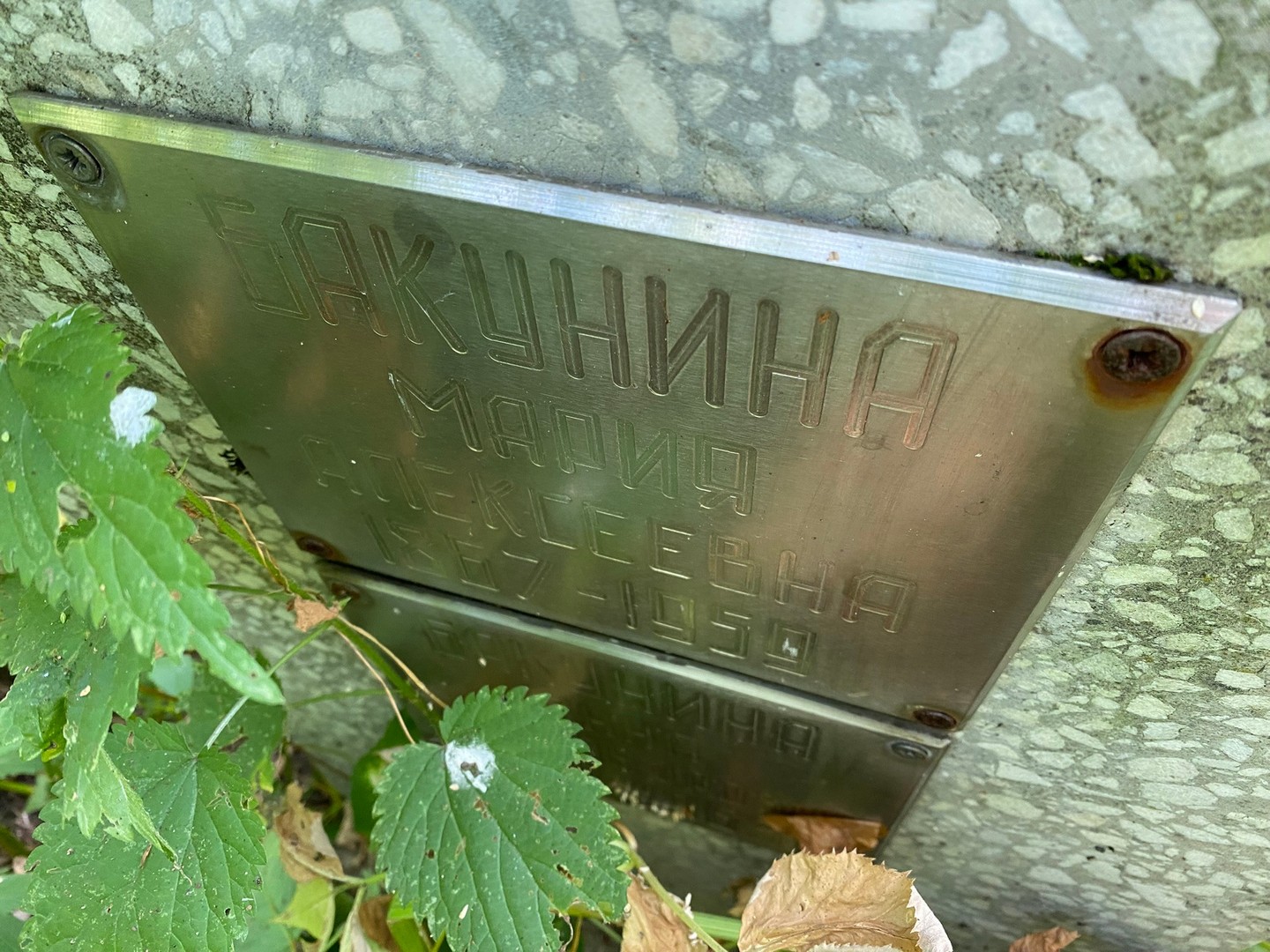 Бакунина