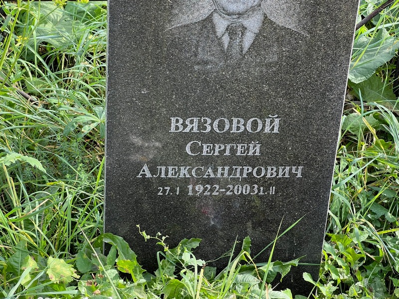 Вязовой