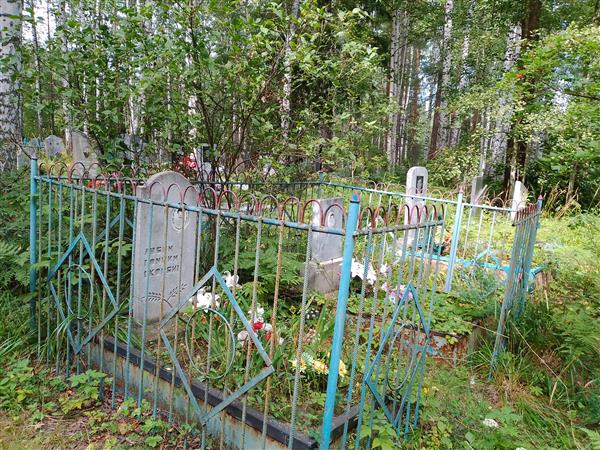 Сафиханова Танзия Геннеатульевна