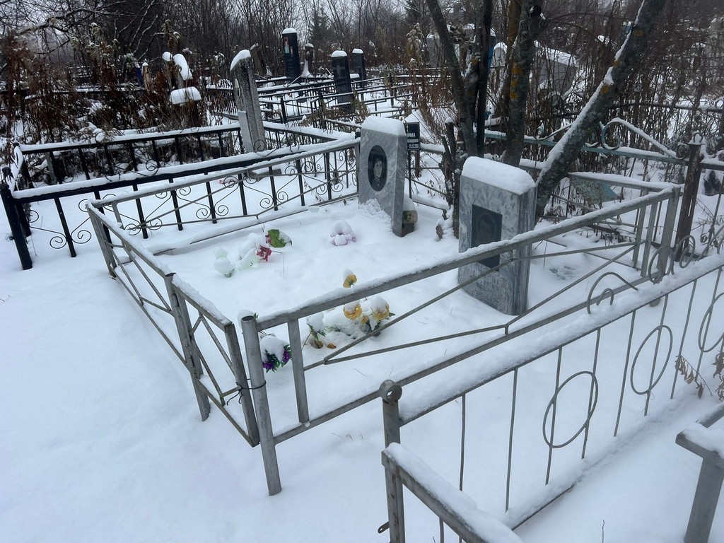 Комаров Владимир Павлович