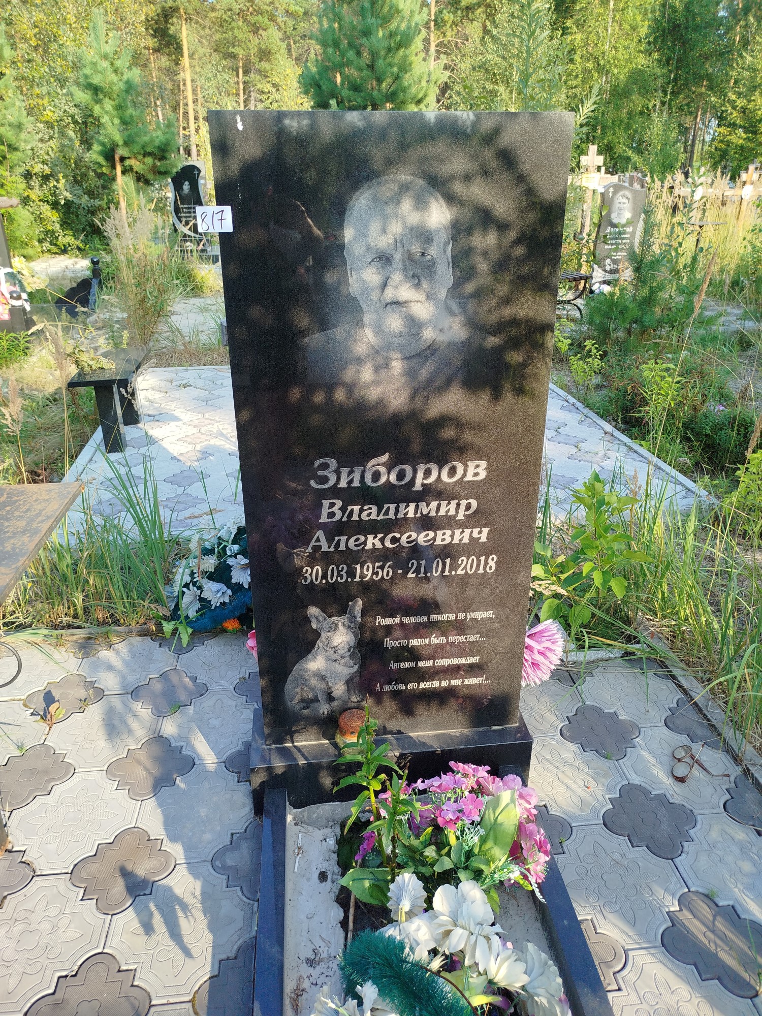 Зиборов Владимир Алексеевич