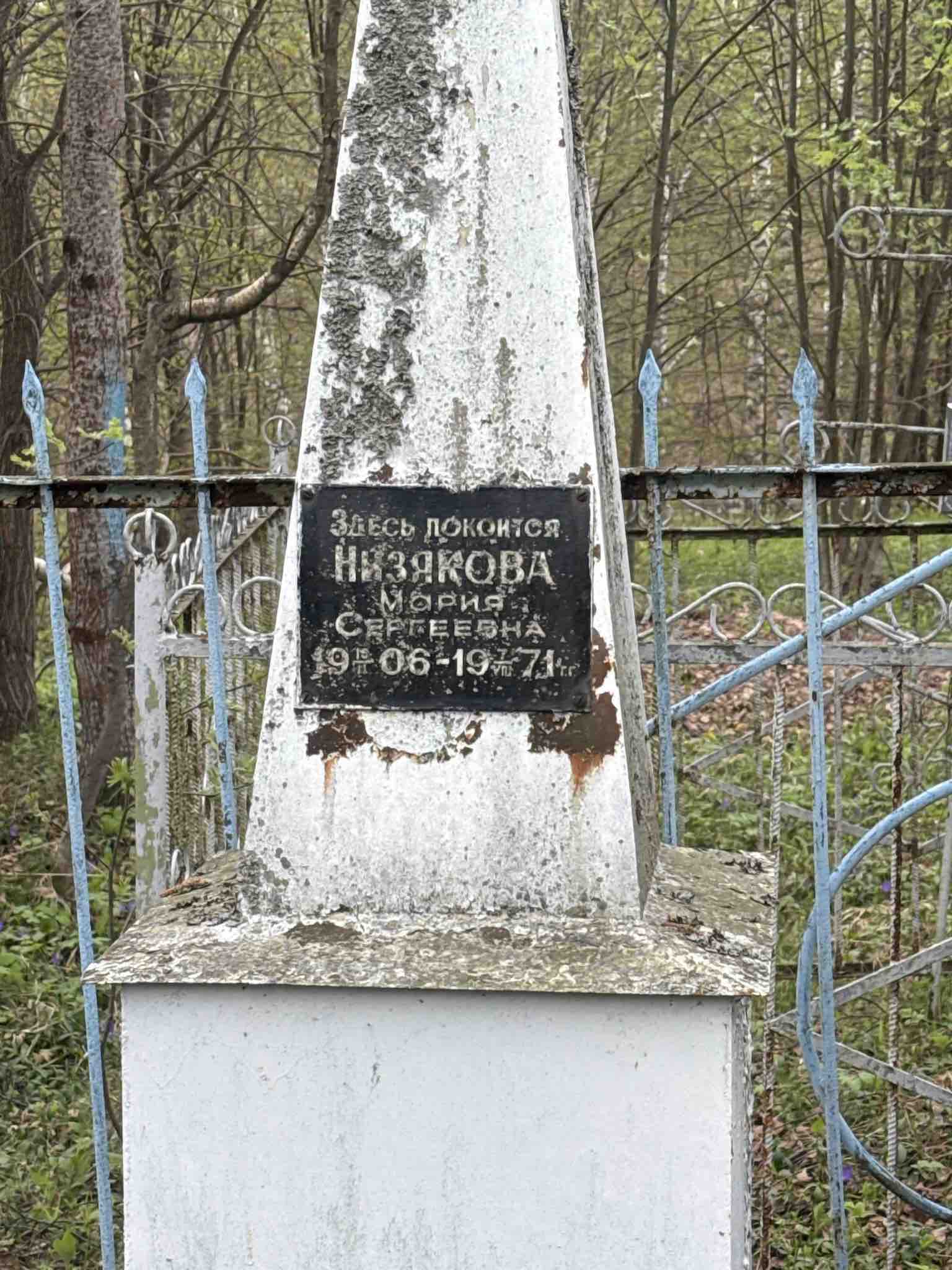 Низякова Мария Сергеевна