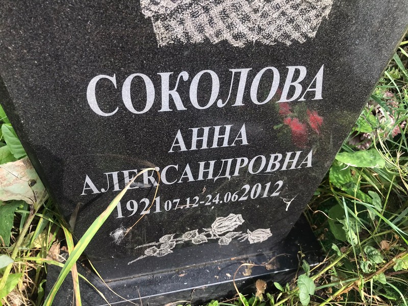 Соколова