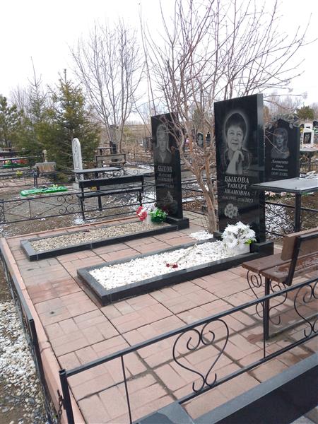 Быков Анатолий Васильевич