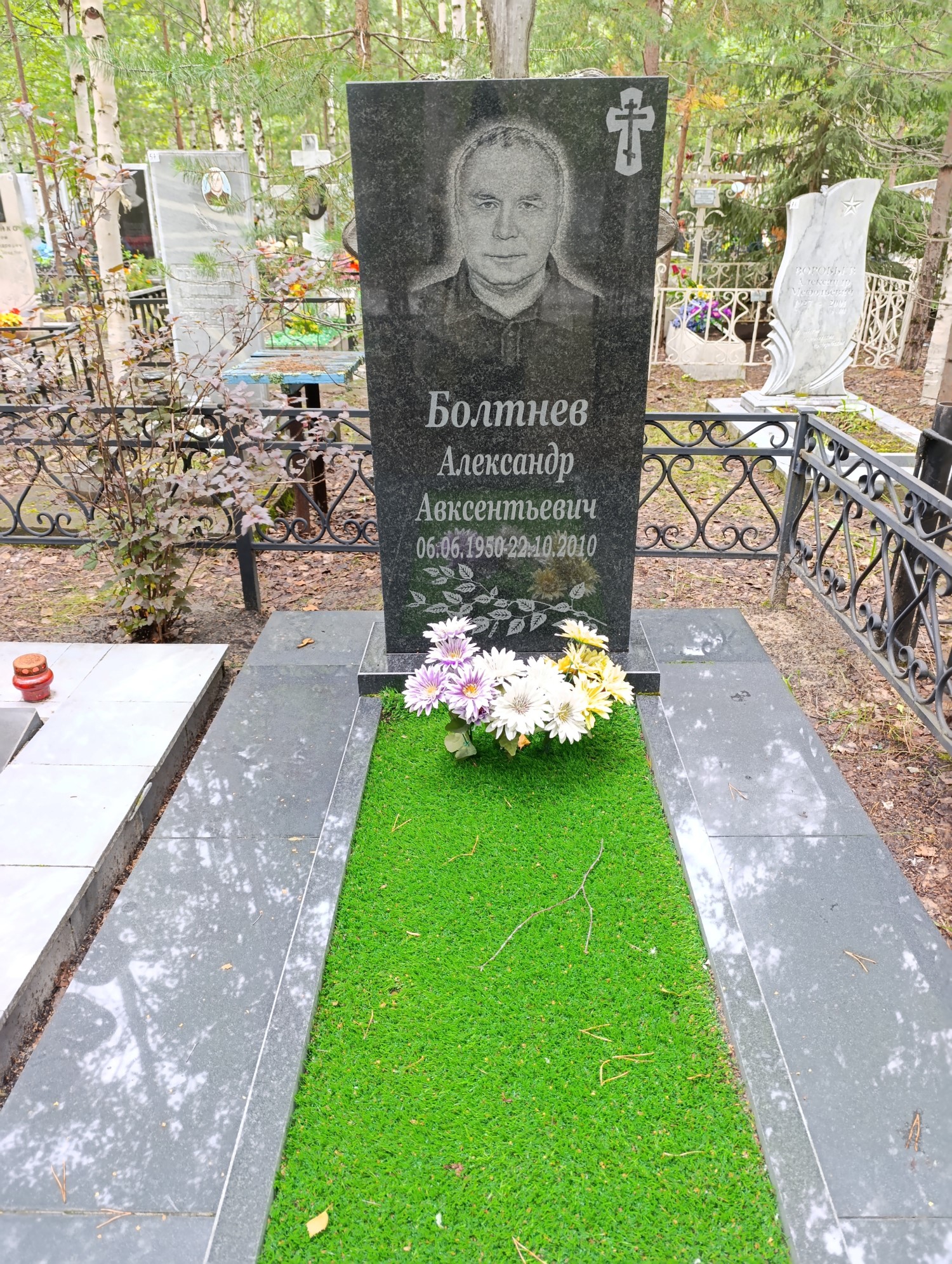 Болтнев Александр Авксентьевич