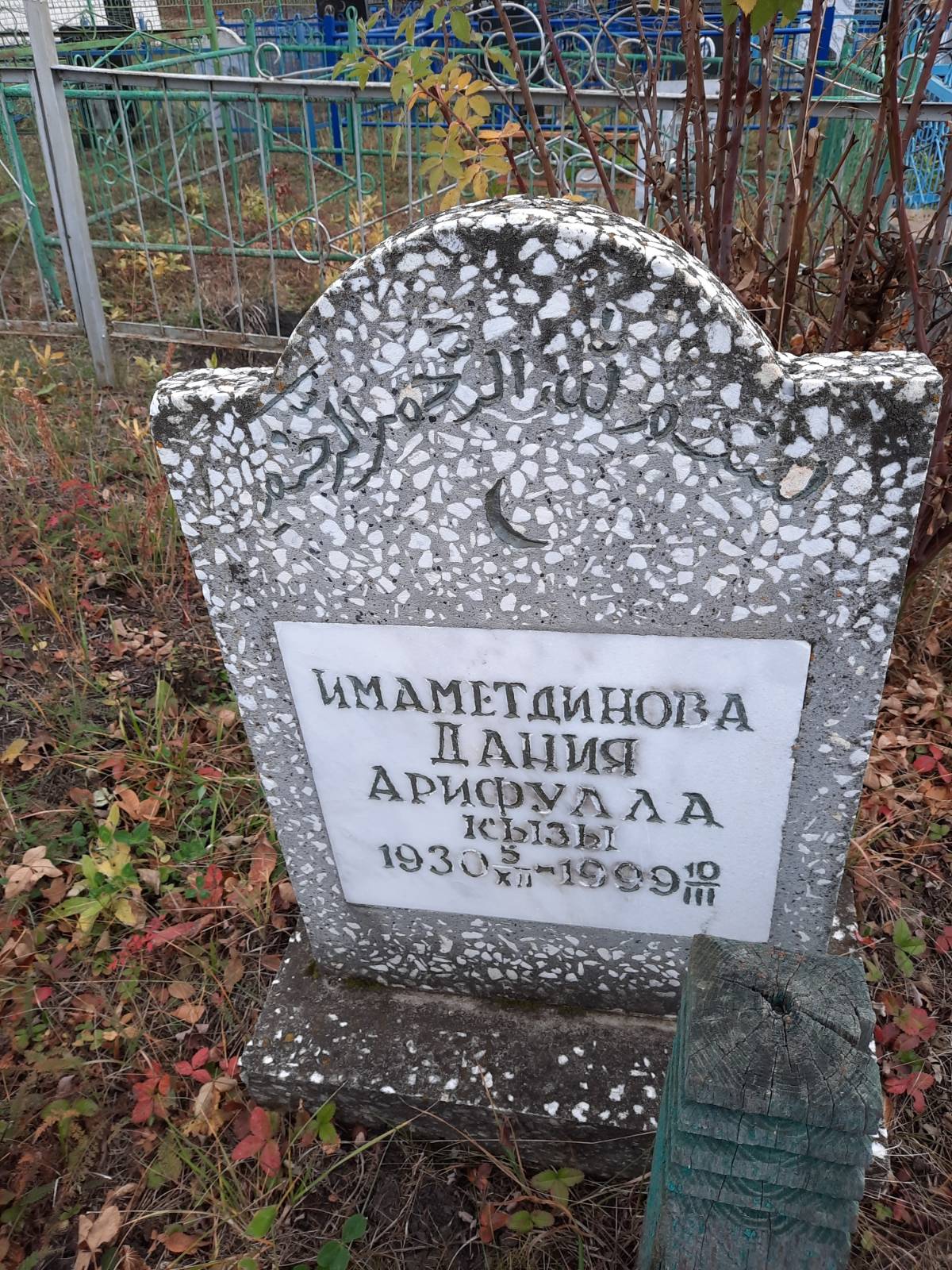 Имаметдинова Дания Арифулла