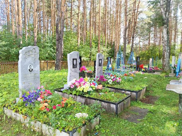 Шабунин Владимир Федорович
