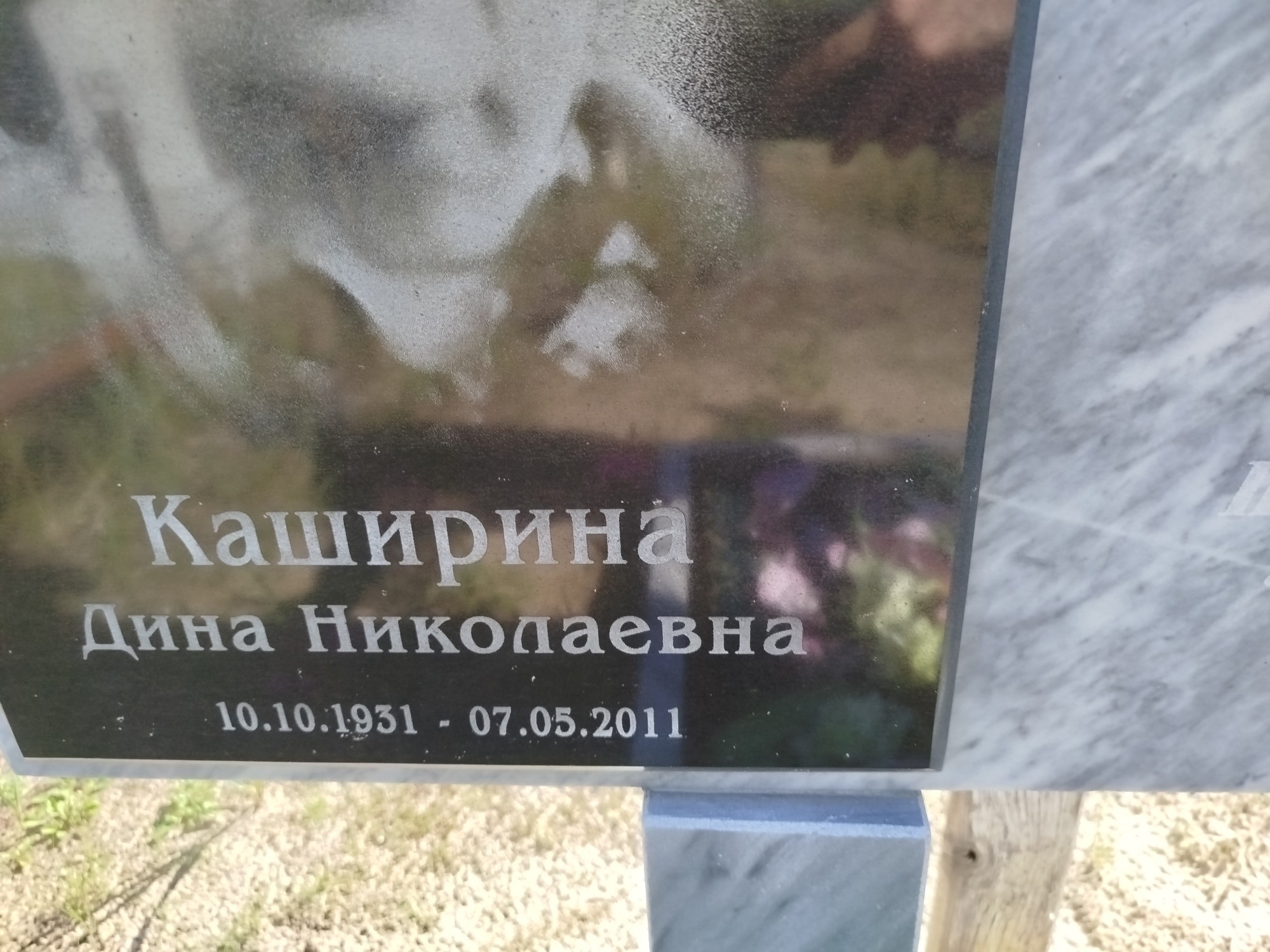 Каширина Дина Николаевна