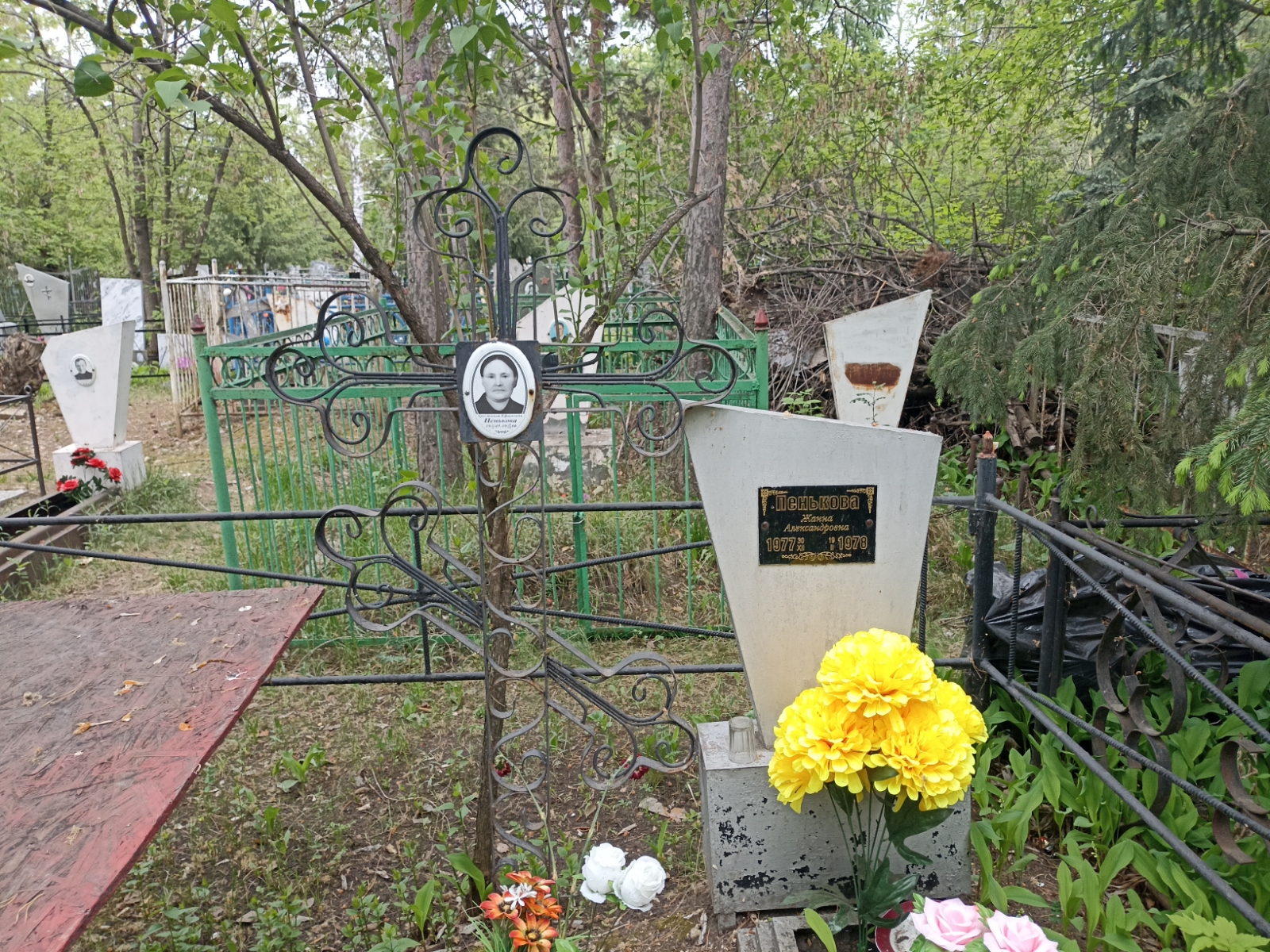 Пенькова Жанна Александровна