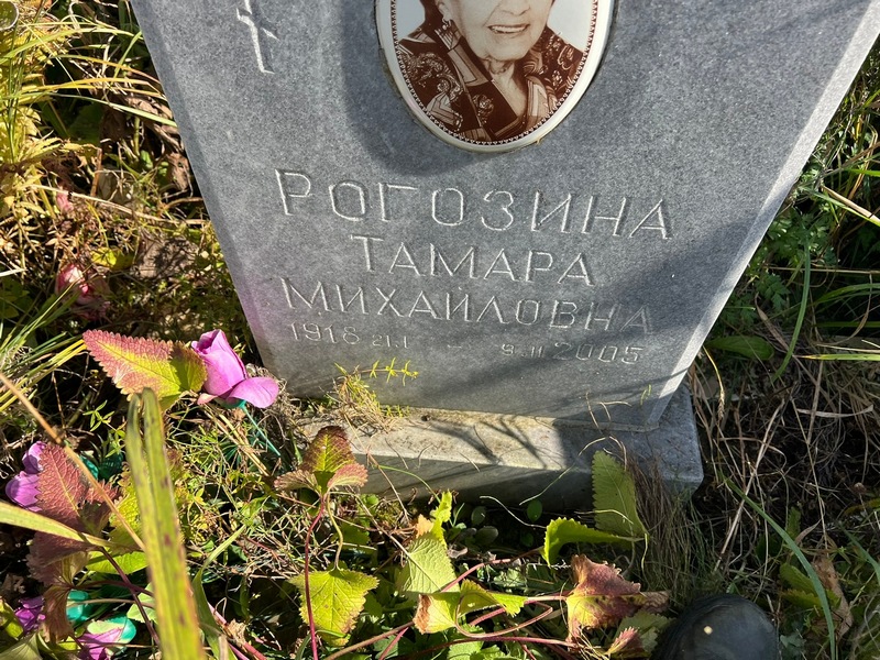 Рогозина
