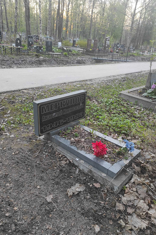 Меркулов Анатолий Николаевич