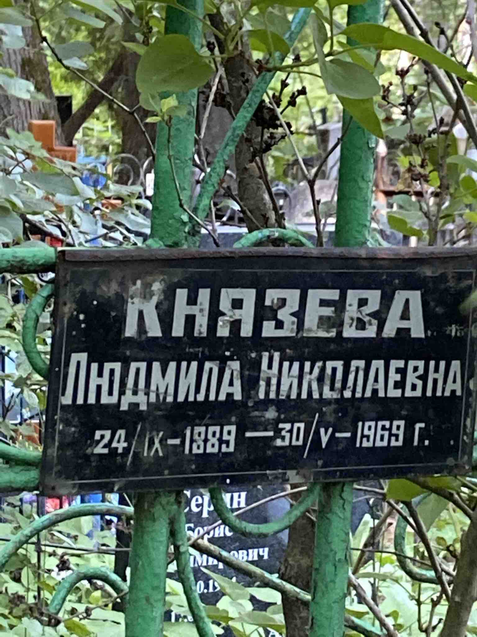 Князева Людмила Николаевна