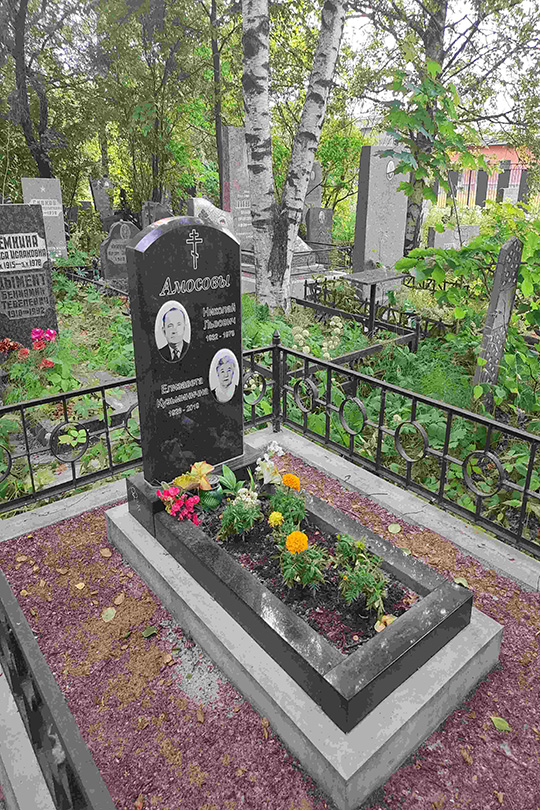 Амосов Николай Львович