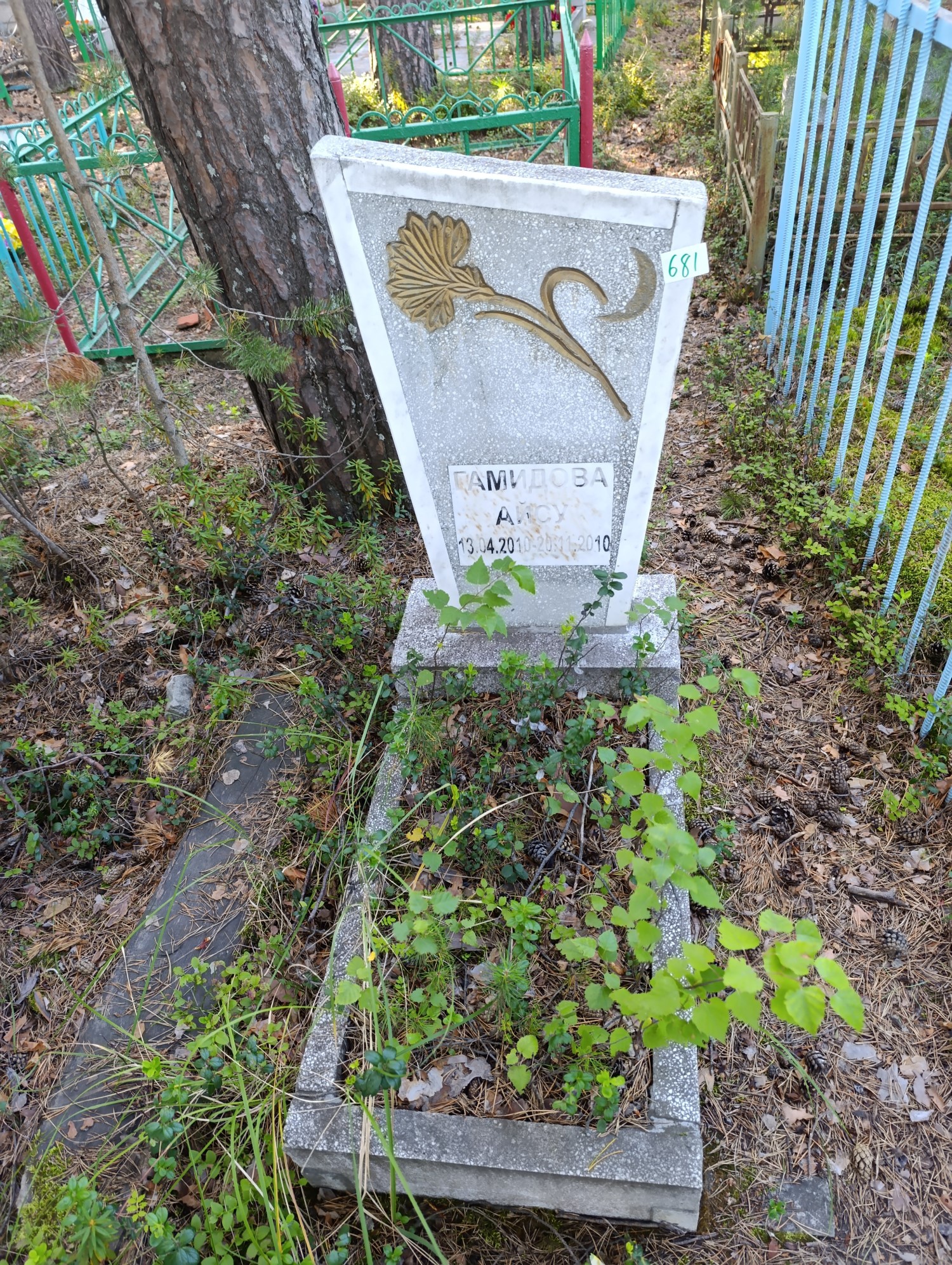 Гамидова Айсу