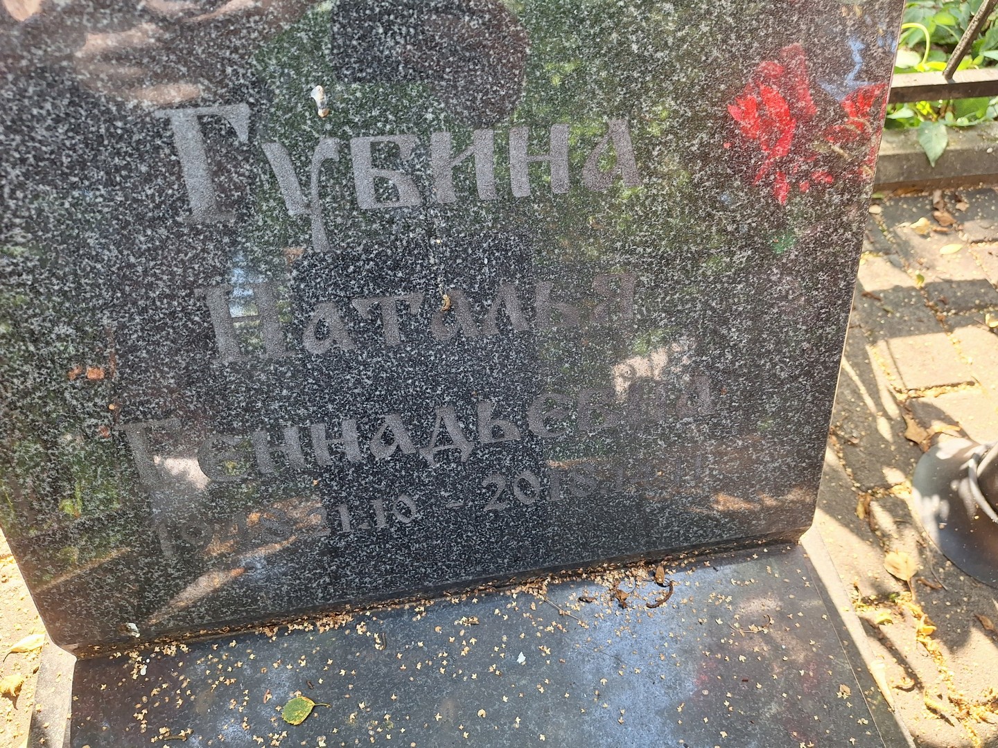 Губина