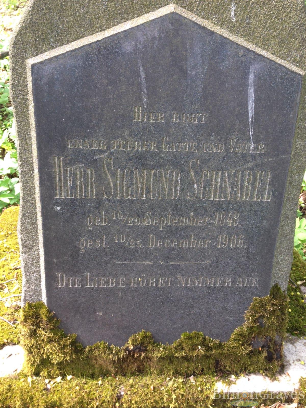 Schnabel Sigmund