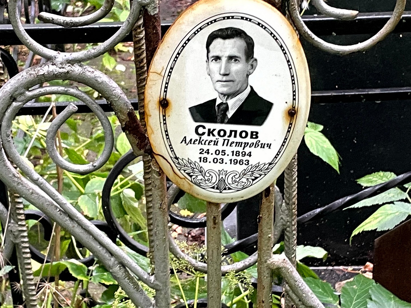 Сколов