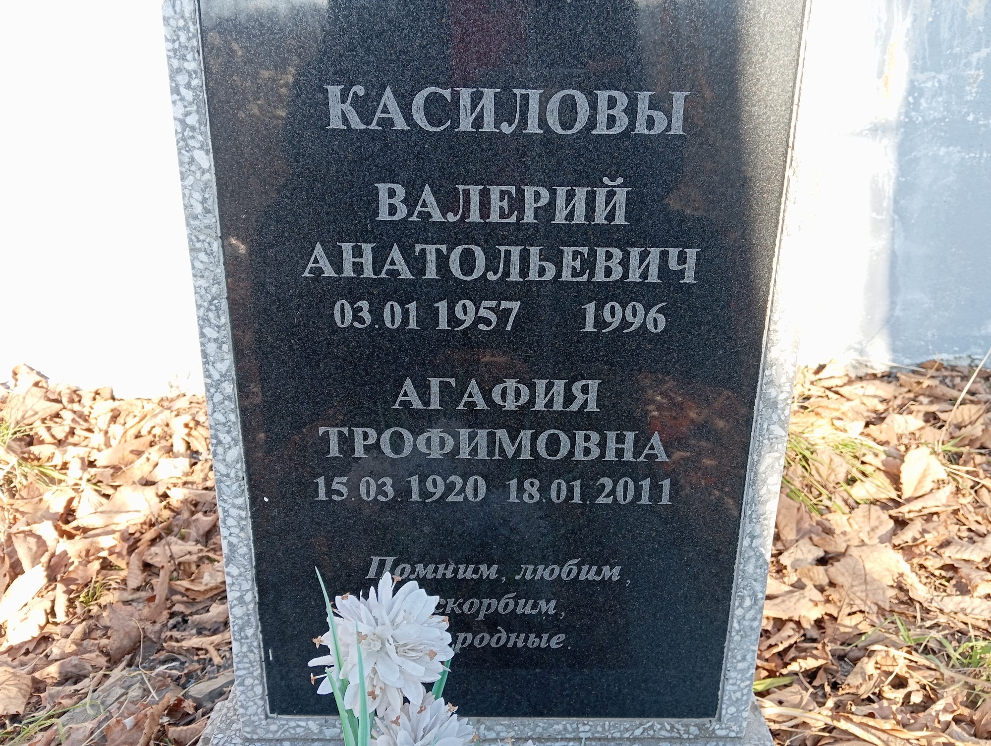 Касилов Валерий Анатольевич