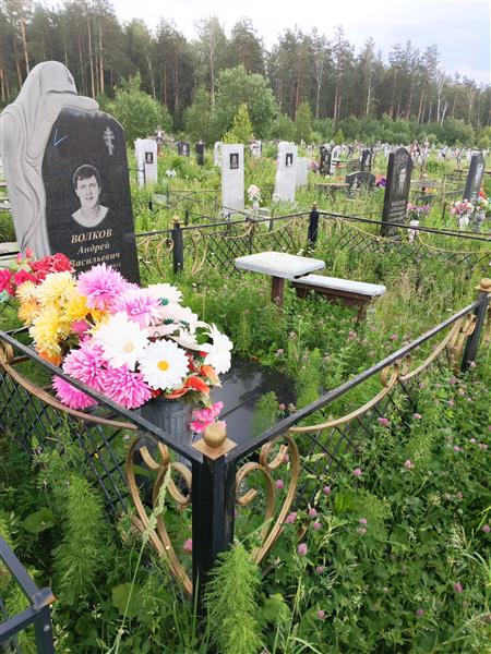Волков Андрей Васильевич