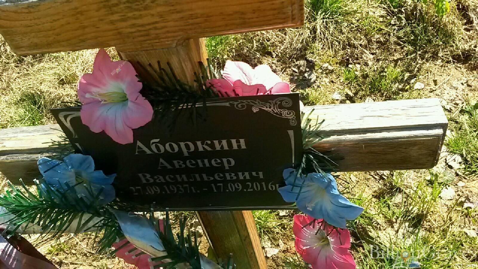 Аборкин Авенер Васильевич