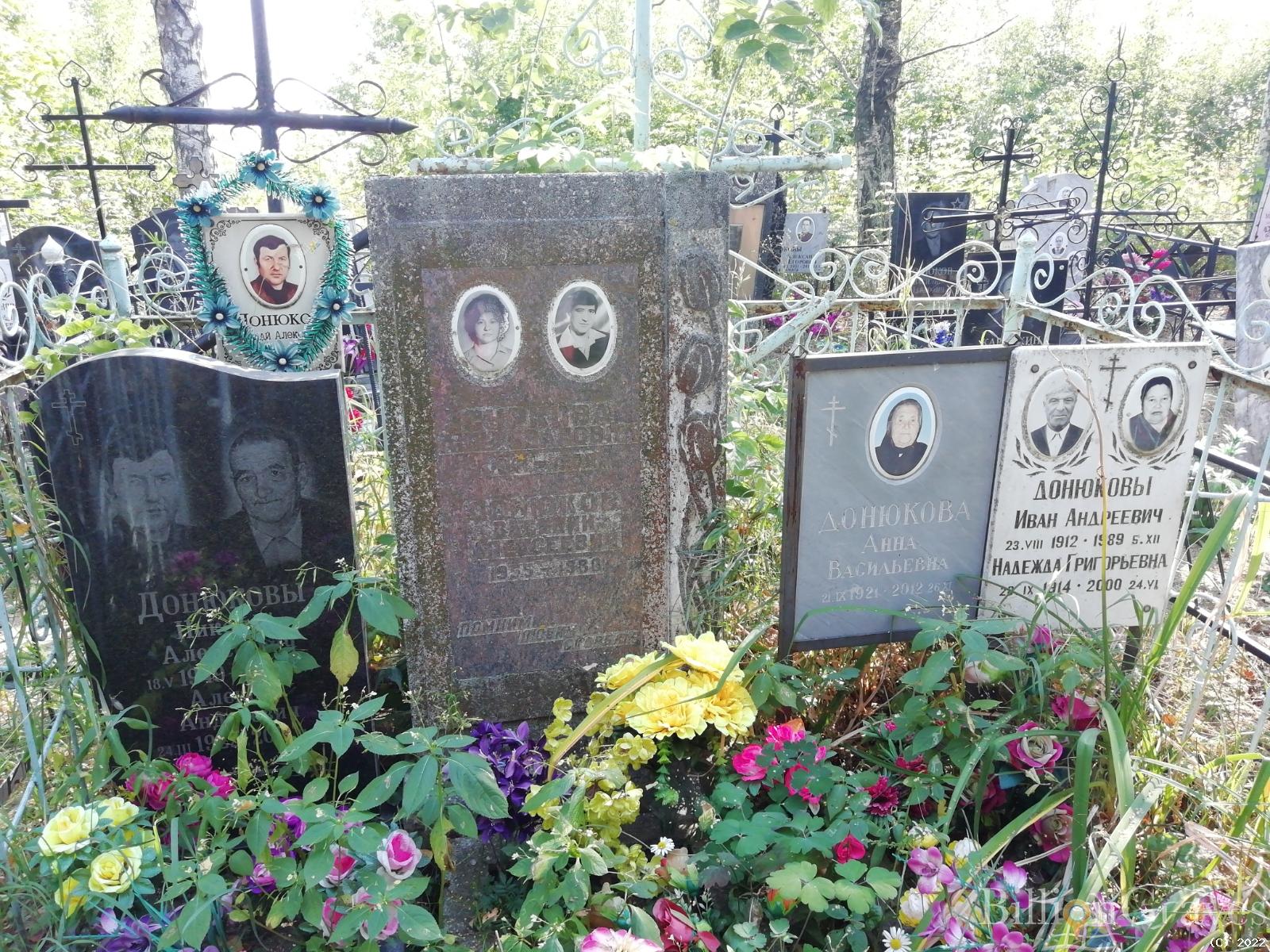Донюкова Анна Васильевна