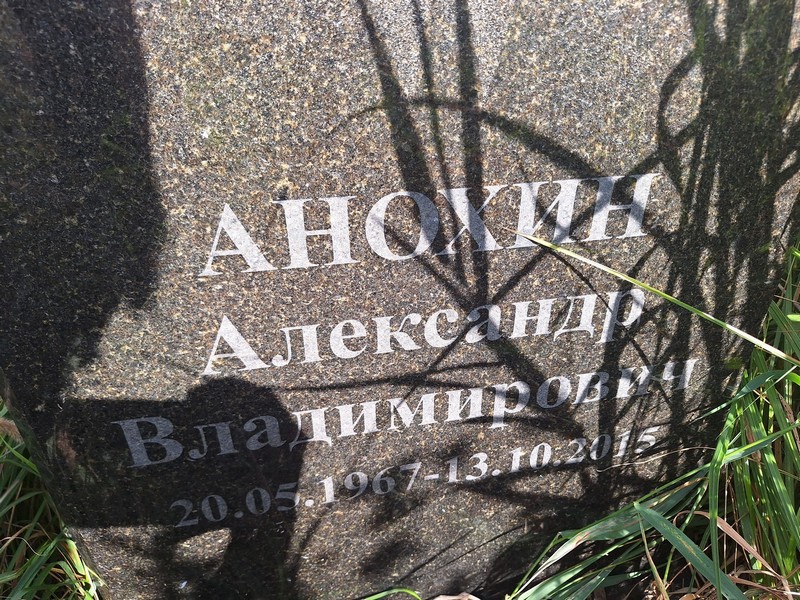 Анохин