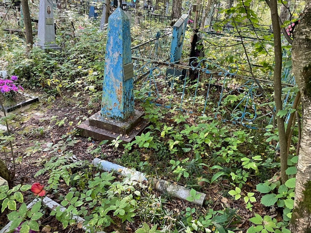 Волков Владимир Борисович