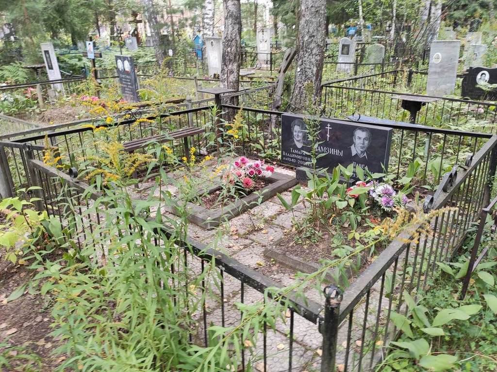 Ламзина Тамара Владимировна