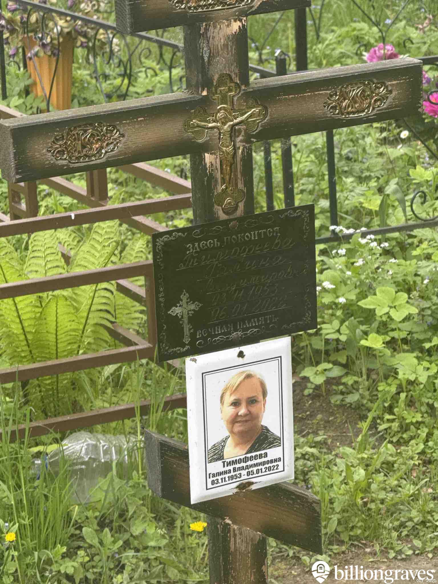 Тимофеева Галина Владимировна