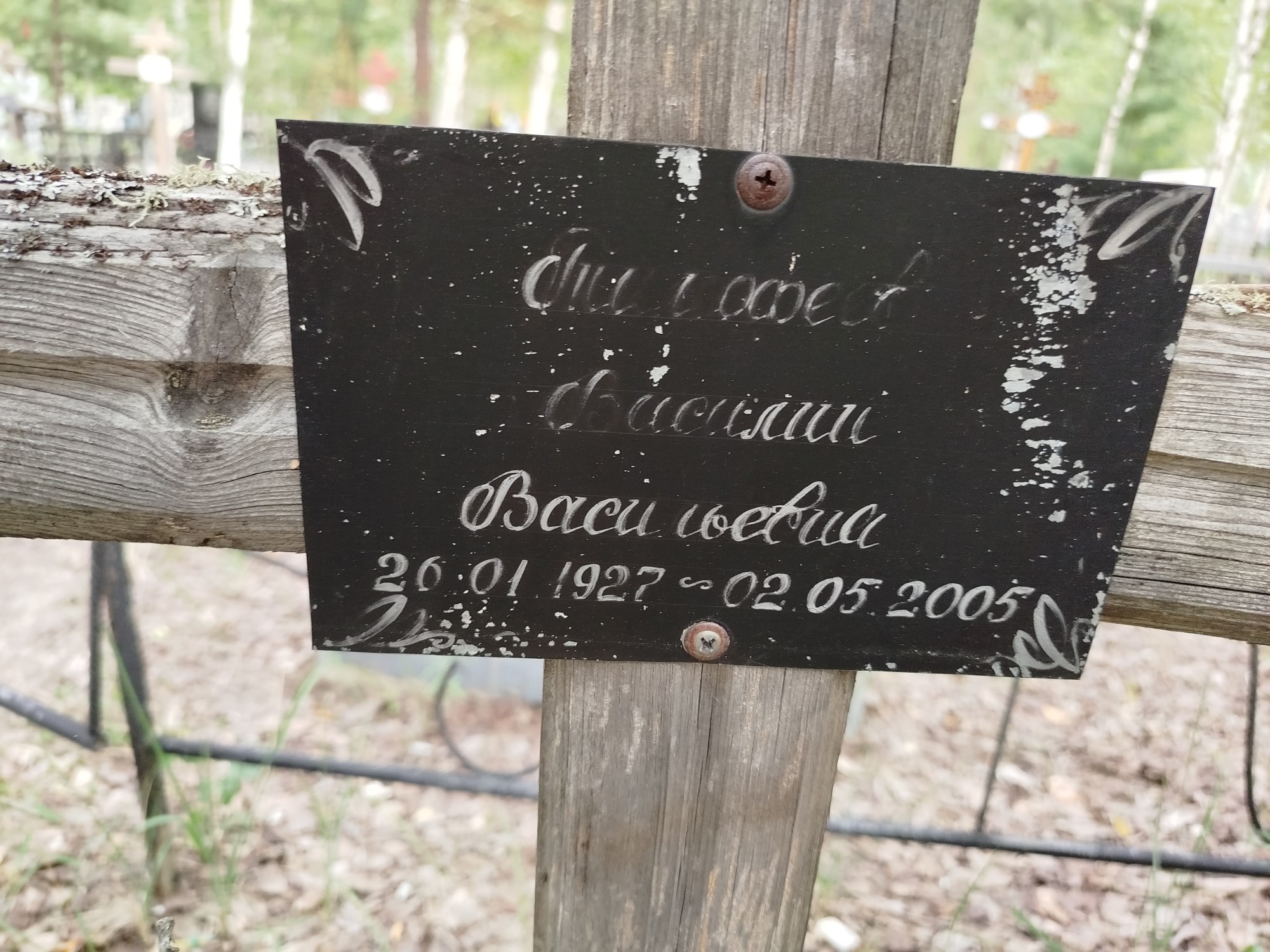 Тимофеев Василий Васильевич