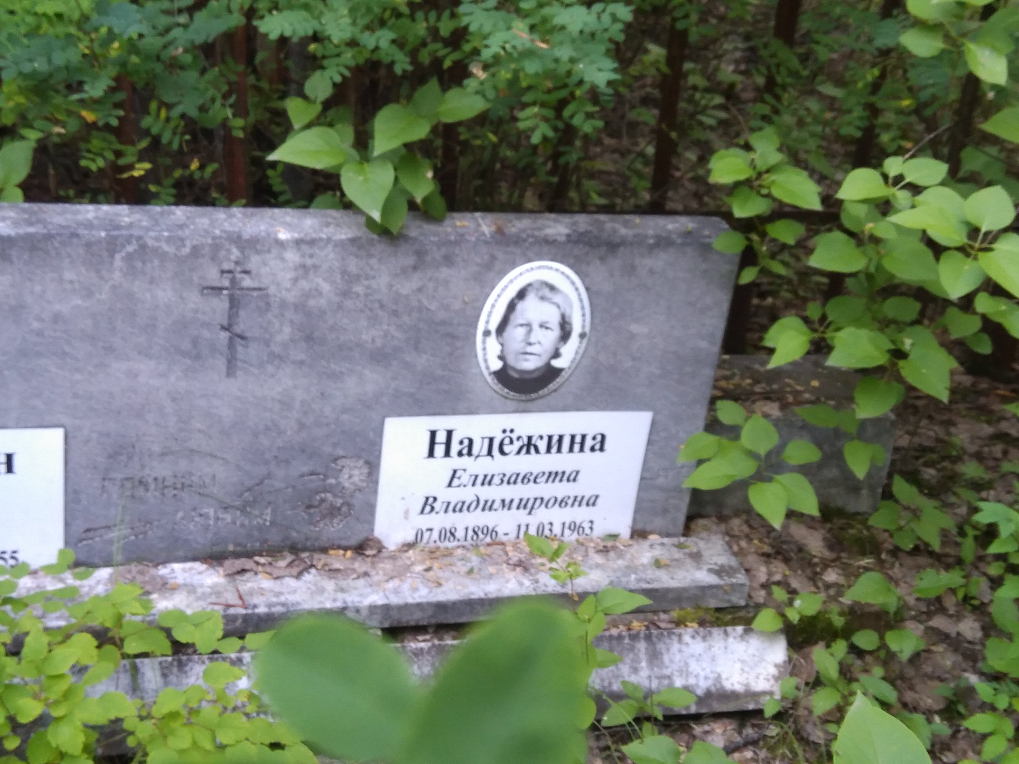Надёжина Елизавета Владимировна