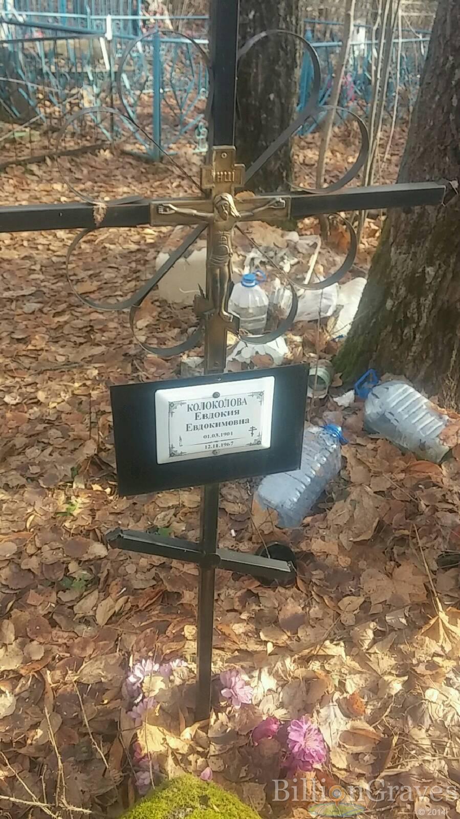 Колоколова Евдокия Евдокимовна