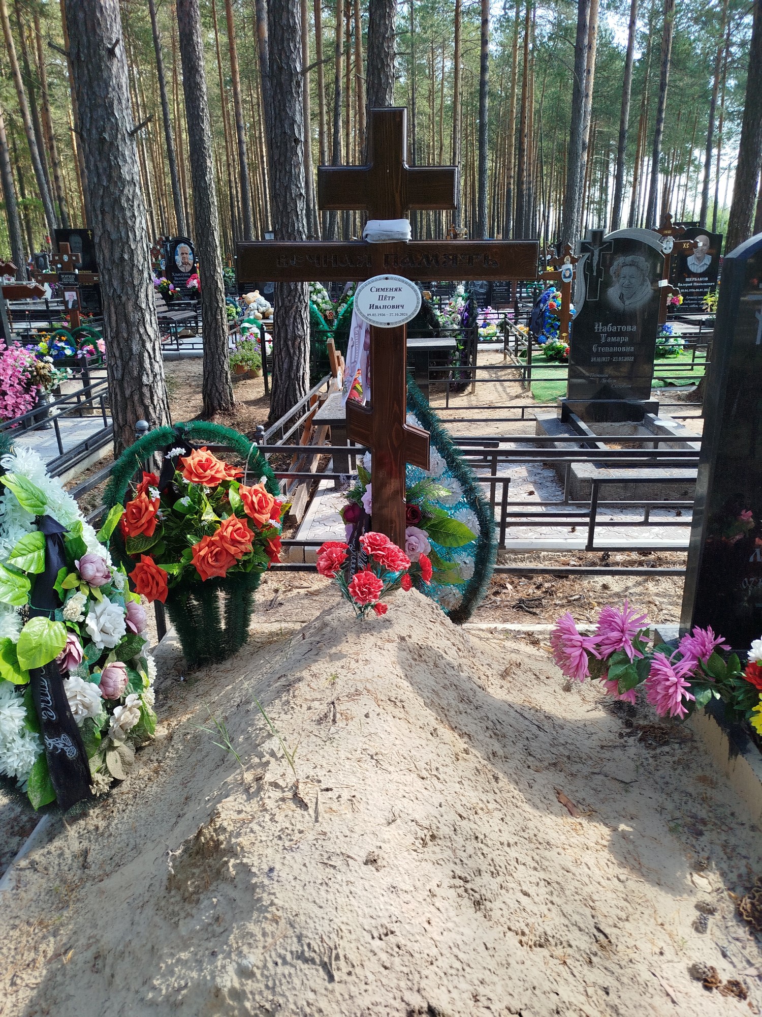 Сименяк Петр Иванович
