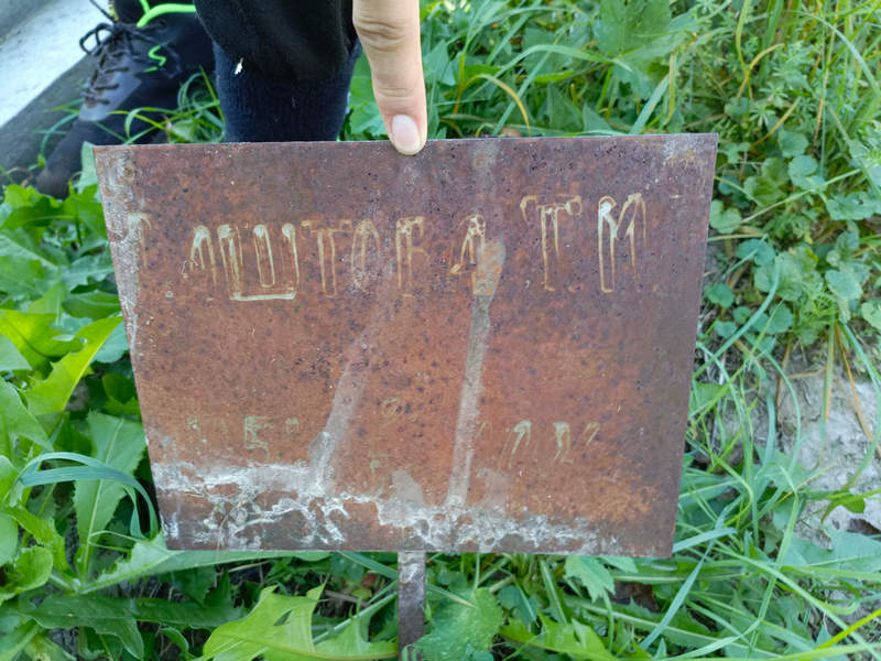 Т Шитова М