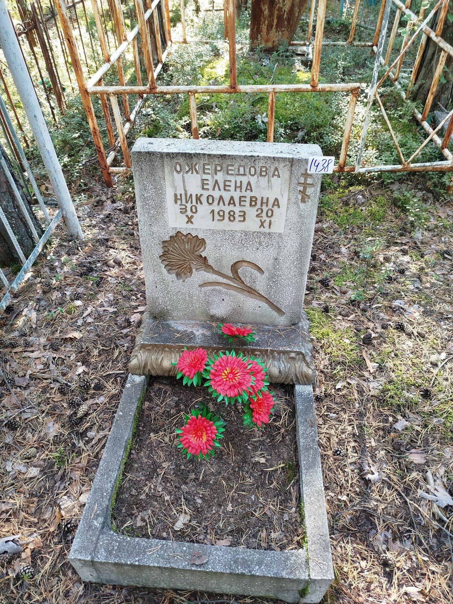 Ожередова Елена Николаевна