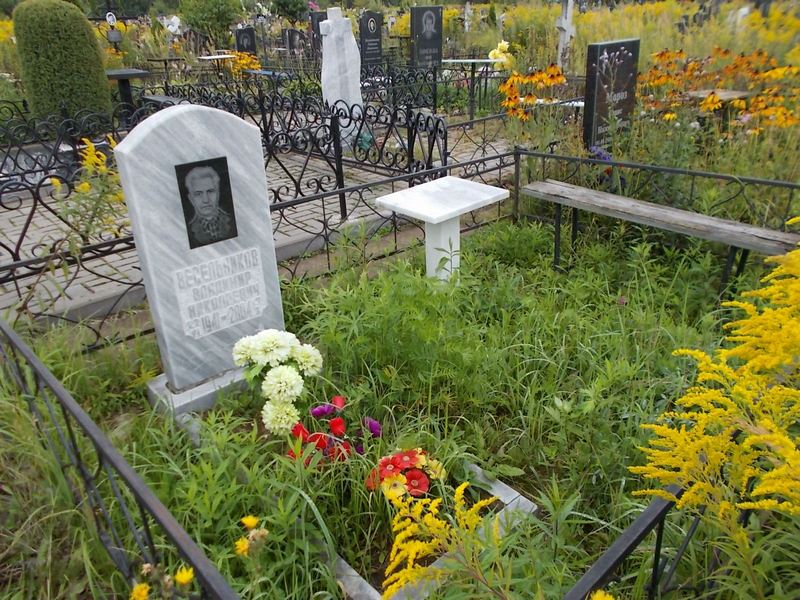 Весельников Владимир Николаевич