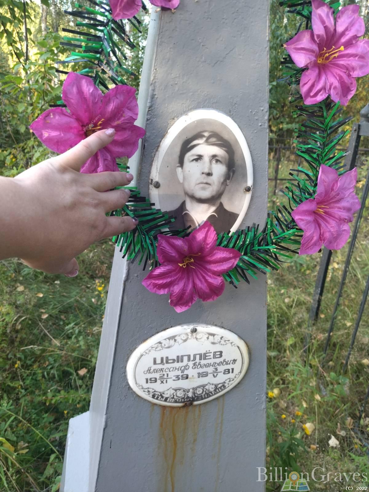 Цыплёв Александр Евгеньевич
