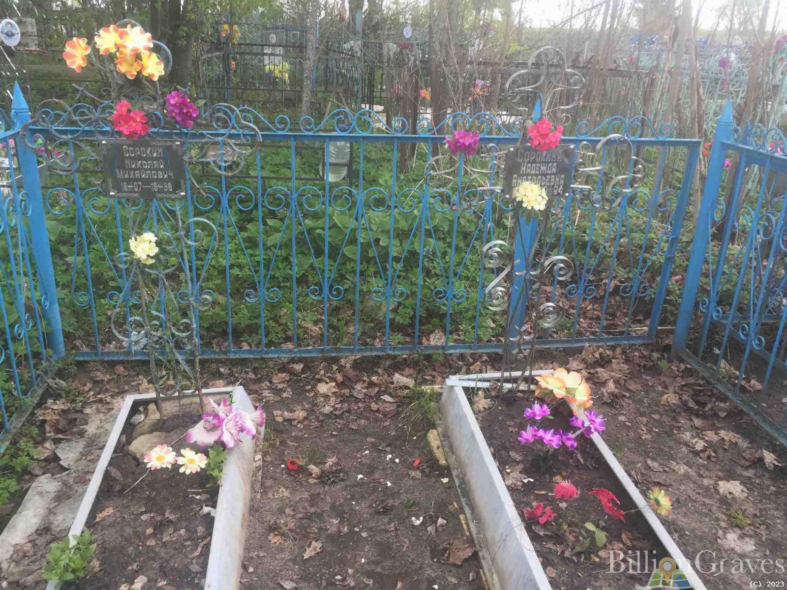 Сорокина Надежда Анатольевна