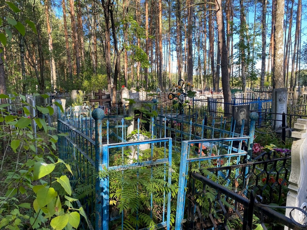 Никитин Виссарион Григорьевич